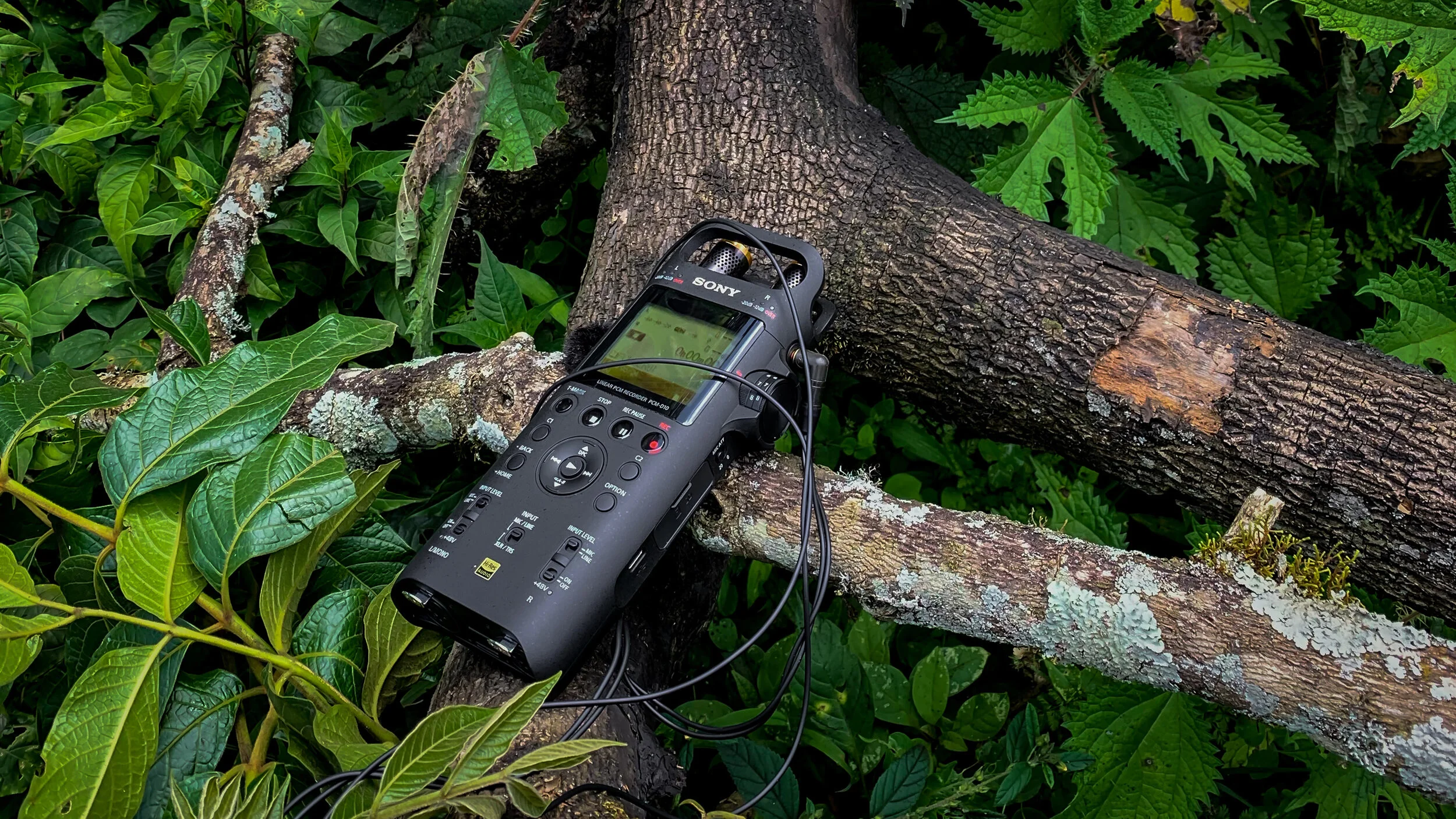 Sony PCM D10 long term review — Mindful Audio